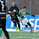 Bohemians Praha 1905 - FC Hradec Králové 3:0 (2:0)