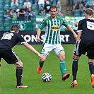 Bohemians Praha 1905 - SK Dynamo České Budějovice 2:0 (2:0)