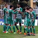 SFC Opava - Bohemians Praha 1905 0:1 (0:0)