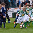 Bohemians Praha 1905 - FC Vysočina Jihlava 1:0 (1:0) 