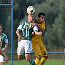 Bohemians Praha 1905 - FC Vysočina Jihlava 0:3 (0:1)