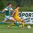 Bohemians Praha 1905 - FC Vysočina Jihlava 0:3 (0:1)