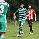 Bohemians - Viktoria ŽIžkov 2:0 (0:0)