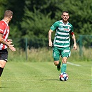 Bohemians - Viktoria ŽIžkov 2:0 (0:0)