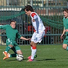 SK Slavia Praha - Bohemians praha 1905 1:1 (0:1)