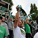 Dění na tribunách: Bohemians - Mladá Boleslav