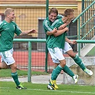 Bohemians Praha 1905 - FK Viktoria Plzeň 4:4 (2:3)