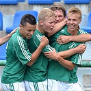 Bohemians Praha 1905 - FK Viktoria Plzeň 4:4 (2:3)