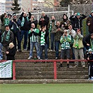 Loko Vltavín - Bohemians Praha 1905 0:3 (0:1)