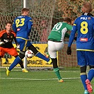 Bohemians Praha 1905 - FC Vysočina Jihlava 4:1 (1:1)