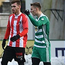 Bohemians Praha 1905 - FK Viktoria Žižkov 2:0 (2:0)