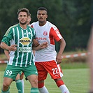 Hallescher - Bohemians 2:2 (0:1)