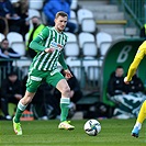 Bohemians - Zlín 1:0 (1:0)