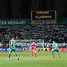 Bohemians - Pardubice 2:0 (1:0)