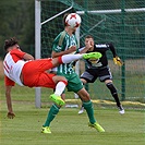 Hallescher - Bohemians 2:2 (0:1)