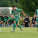 Hallescher - Bohemians 2:2 (0:1)