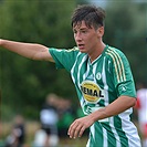 Hallescher - Bohemians 2:2 (0:1)