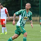 Hallescher - Bohemians 2:2 (0:1)