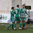 Bohemians - Karviná 2:0 (1:0)