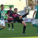 Bohemians Praha 1905 - FK Čáslav 3:0 (2:0)