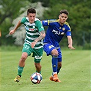 Bohemians - Jihlava 3:0 (1:0)