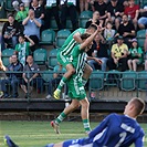 Bohemians - Karviná 4:0 (2:0)