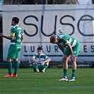 Lubin - Bohemians 1:1 (1:1)