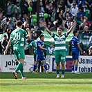 Bohemians - Mladá Boleslav 4:0 (1:0)