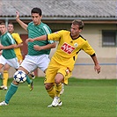 Bohemians 1905 - SK Dynamo Ceské Budějovice 2:3 (1:1)