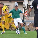 Bohemians 1905 - SK Dynamo Ceské Budějovice 2:3 (1:1)