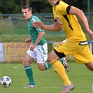 Bohemians 1905 - SK Dynamo Ceské Budějovice 2:3 (1:1)