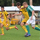 Bohemians 1905 - SK Dynamo Ceské Budějovice 2:3 (1:1)