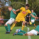 Bohemians 1905 - SK Dynamo Ceské Budějovice 2:3 (1:1)