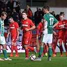 Bohemians Praha 1905 - FC Zbrojovka Brno 1:1 (0:0)