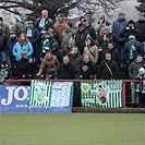 Tipsport liga: Bohemians Praha 1905 - SK Dynamo České Budějovice 2:2 (1:1)