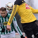 Tipsport liga: Bohemians Praha 1905 - SK Dynamo České Budějovice 2:2 (1:1)