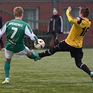 Tipsport liga: Bohemians Praha 1905 - SK Dynamo České Budějovice 2:2 (1:1)