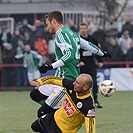 Tipsport liga: Bohemians Praha 1905 - SK Dynamo České Budějovice 2:2 (1:1)