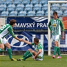 SK Dynamo České Budějovice - Bohemians Praha 1905 2:3 (1:0)