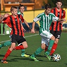 Bohemians Praha 1905 - FK Viktoria Žižkov 4:0 (2:0)