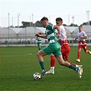 Radnički Niš - Bohemians 1:2 (1:1)