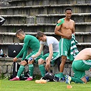 Mladá Boleslav - Bohemians 1:1 (1:1)