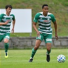 Mladá Boleslav - Bohemians 1:1 (1:1)