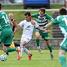 Mladá Boleslav - Bohemians 1:1 (1:1)