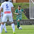 Mladá Boleslav - Bohemians 1:1 (1:1)