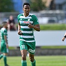 Mladá Boleslav - Bohemians 1:1 (1:1)