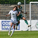 Mladá Boleslav - Bohemians 1:1 (1:1)