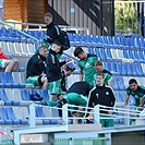 Mladá Boleslav - Bohemians 0:0