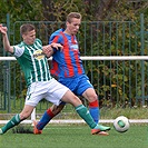 Bohemians Praha 1905 - FC Viktoria Plzeň 1:1 (1:1)