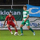 Bohemians - Třinec 2:1 (1:1)